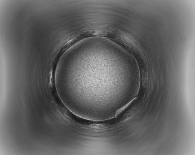 X0000086980748200704301317