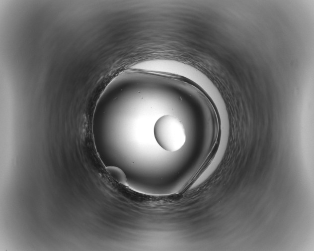 X0000086980752200704301317