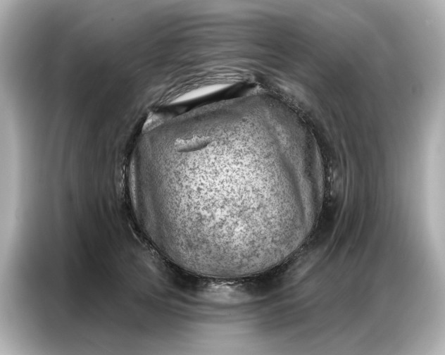 X0000086980753200704301317