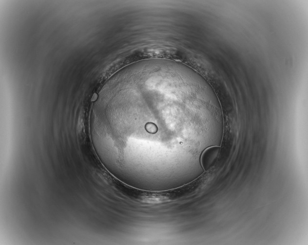 X0000086980754200704301317