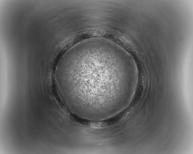 X0000086980757200704301317