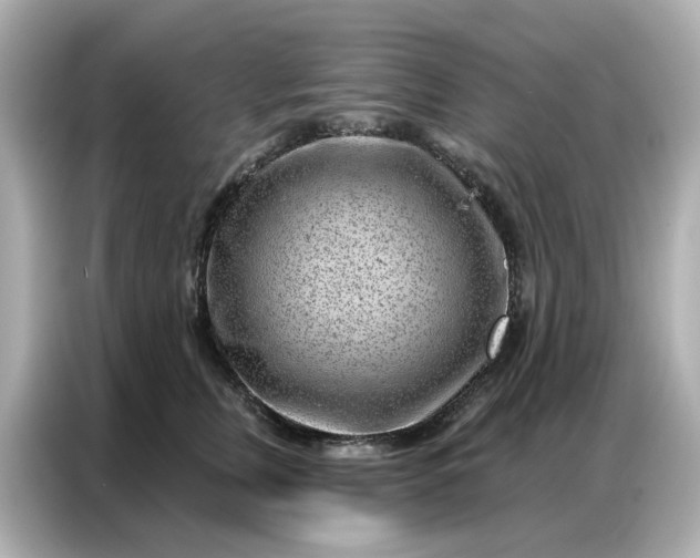 X0000086980759200704301317