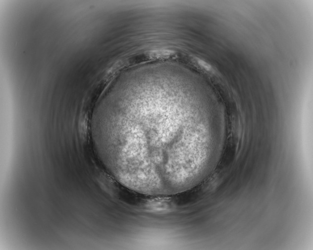 X0000086980761200704301317