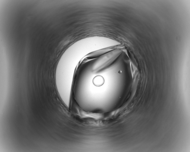 X0000086980762200704301317