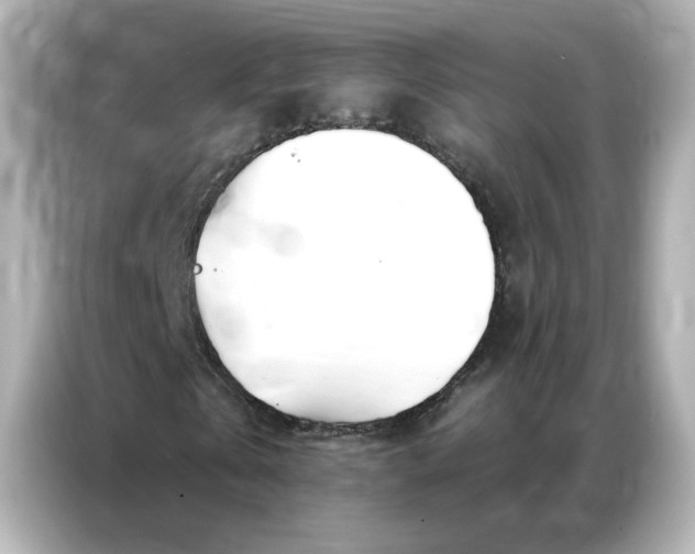 X0000086980769200704301317