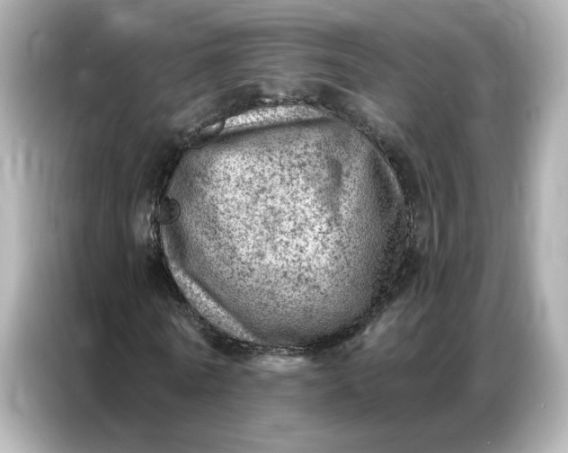 X0000086980770200704301317