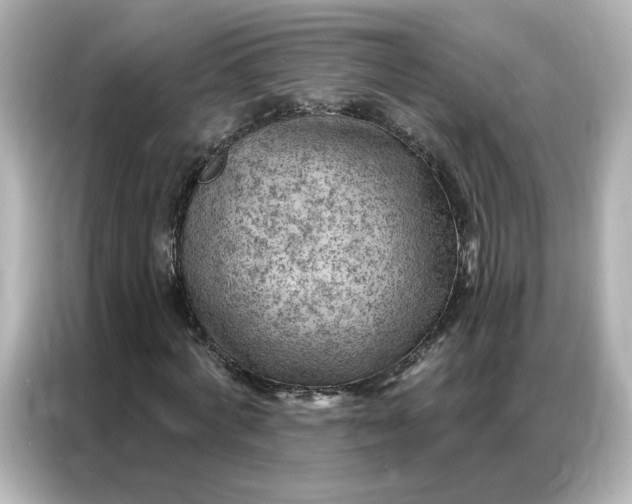 X0000086980772200704301317