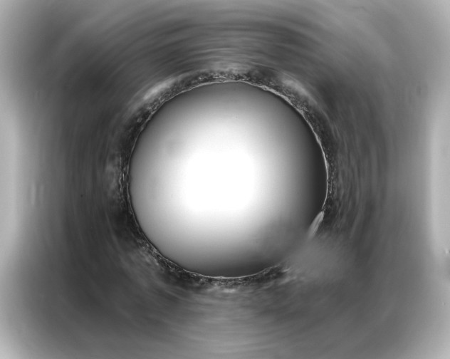 X0000086980773200704301317