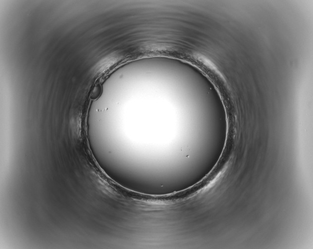 X0000086980777200704301317