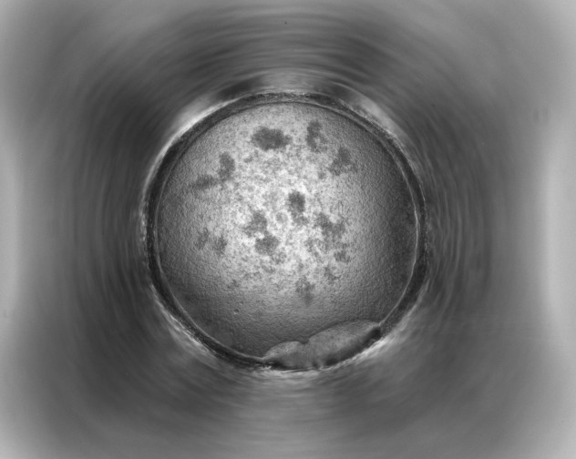 X0000086980779200704301317