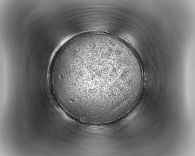 X0000086980780200704301317