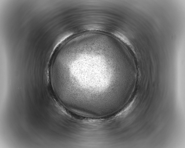 X0000086980782200704301317