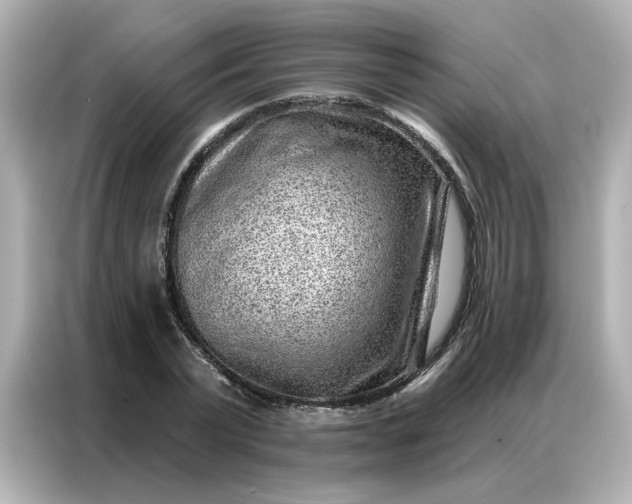 X0000086980783200704301317