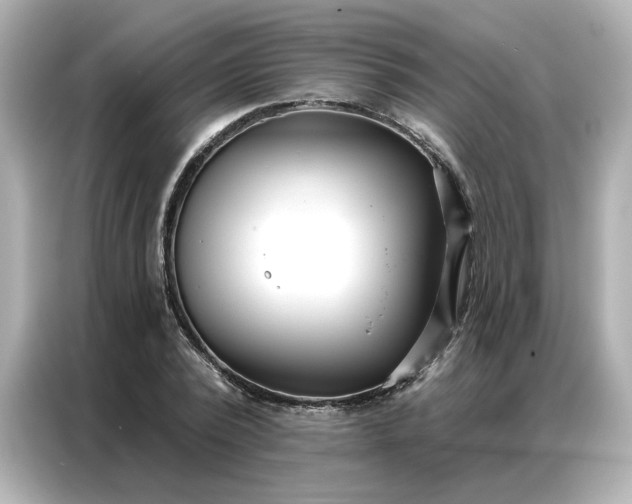 X0000086980784200704301317