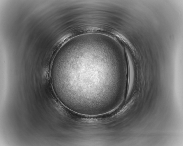 X0000086980785200704301317