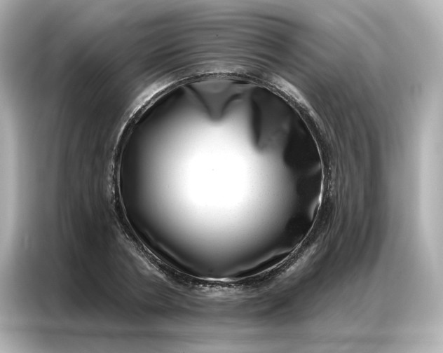 X0000086980786200704301317