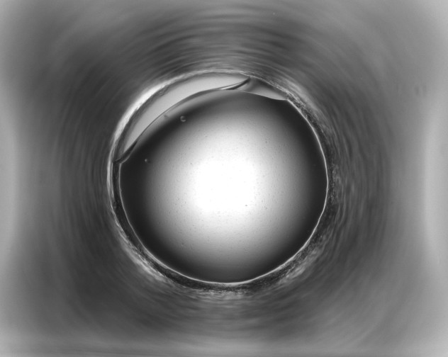 X0000086980788200704301317