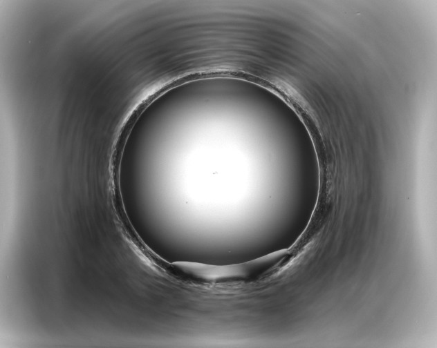 X0000086980789200704301316