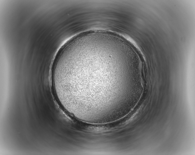 X0000086980791200704301316