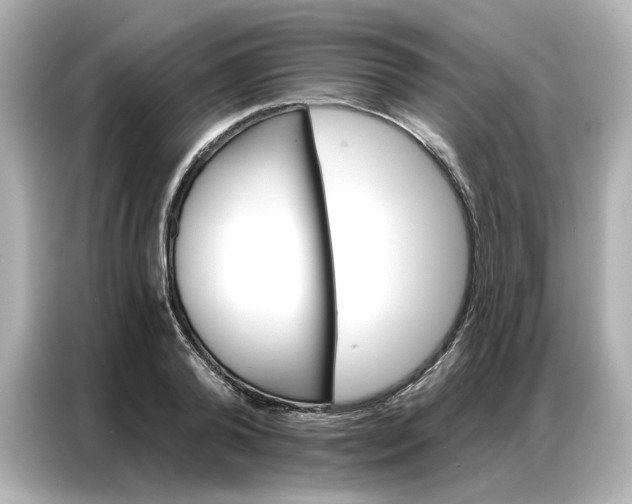 X0000086980792200704301316