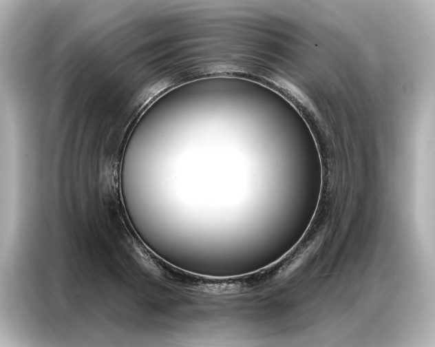 X0000086980793200704301316