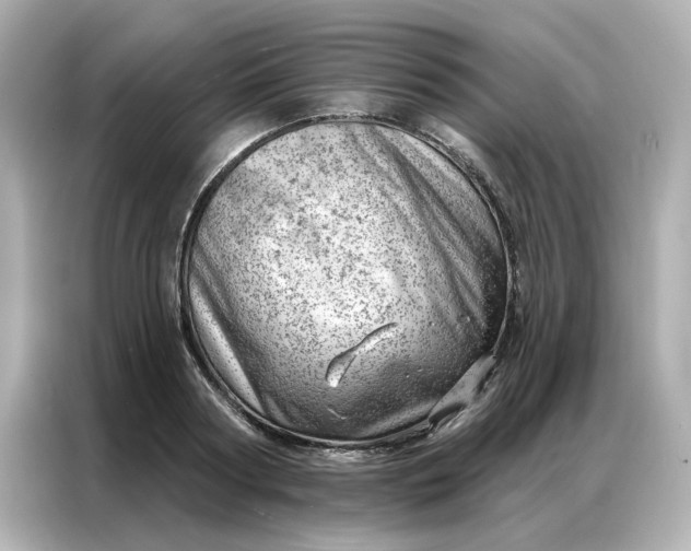 X0000086980794200704301316