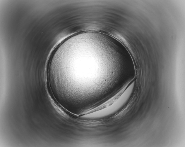 X0000086980795200704301316