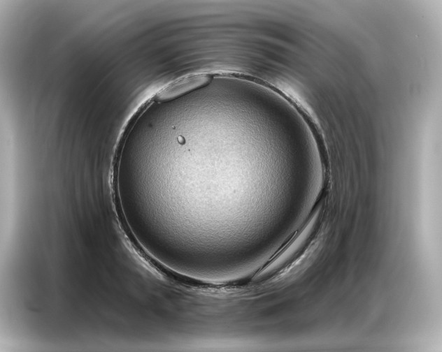 X0000086980797200704301316