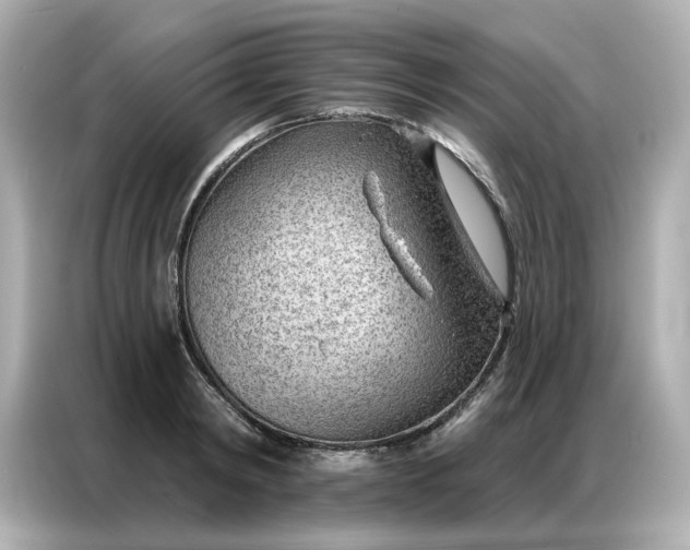 X0000086980798200704301316