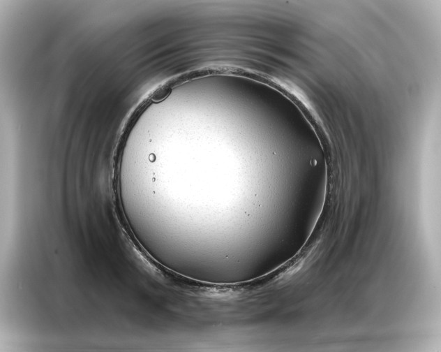 X0000086980799200704301316