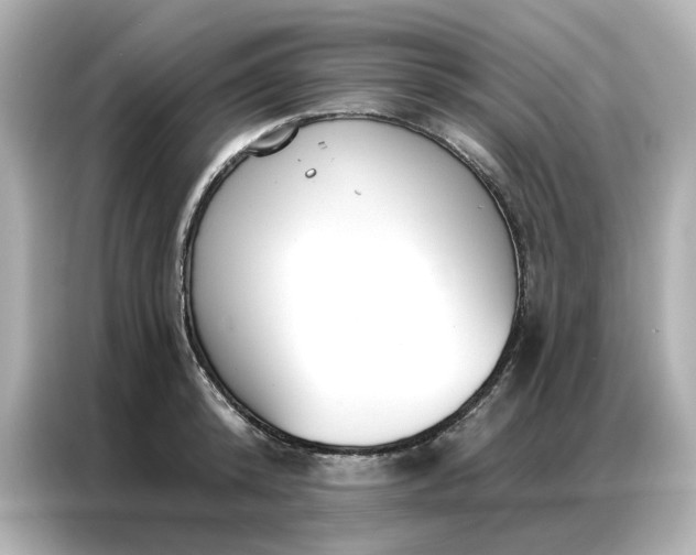 X0000086980800200704301316