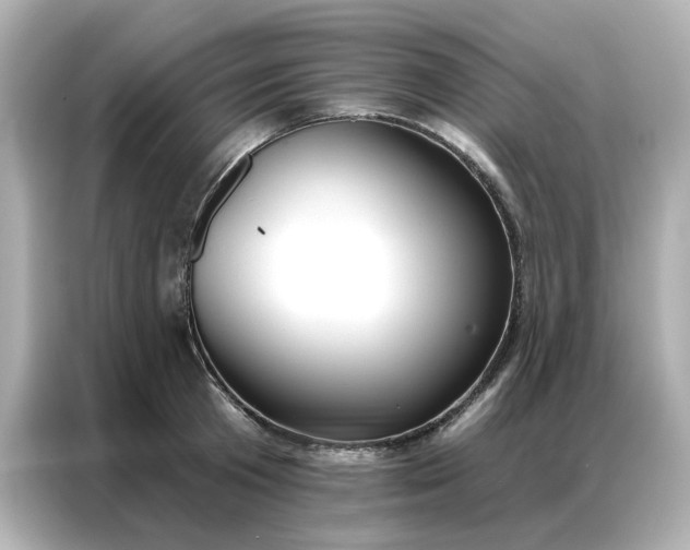 X0000086980801200704301316