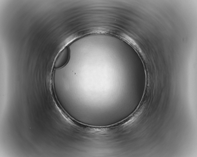 X0000086980802200704301316