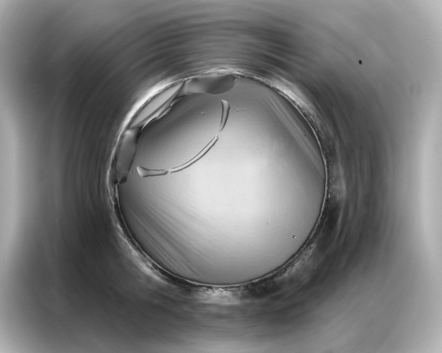 X0000086980806200704301316