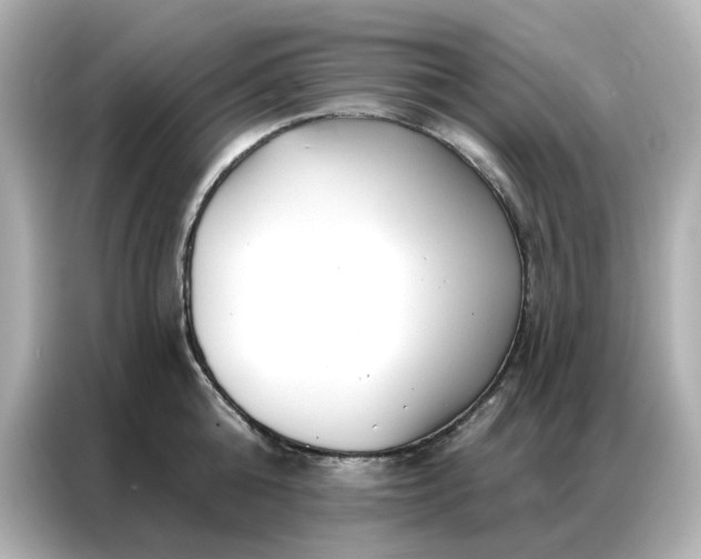 X0000086980808200704301316