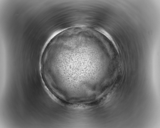 X0000086980811200704301316