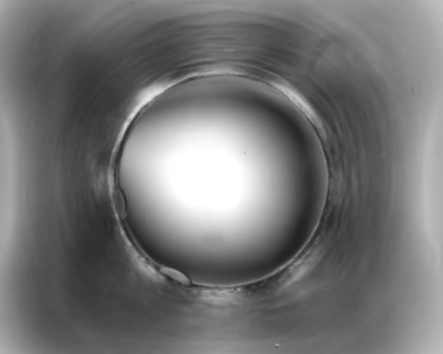 X0000086980813200704301316