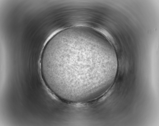 X0000086980814200704301316