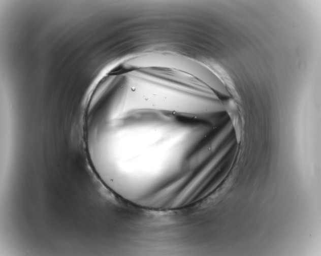 X0000086980816200704301316