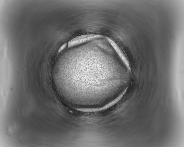 X0000086980817200704301316