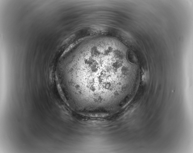 X0000086980819200704301316