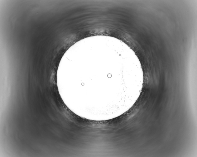 X0000086980820200704301316