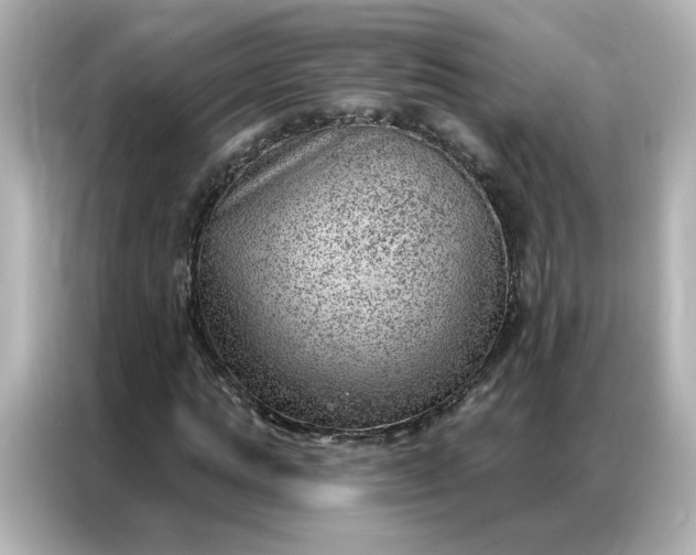 X0000086980821200704301316