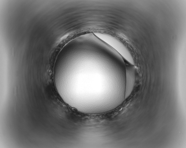 X0000086980822200704301316