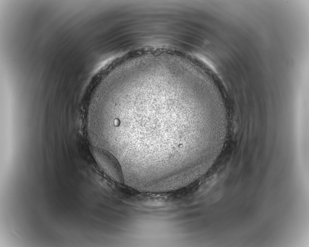 X0000086980823200704301316