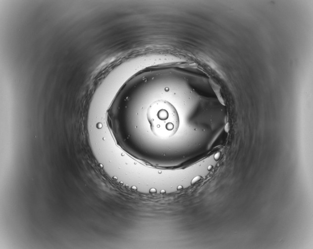 X0000086980824200704301316