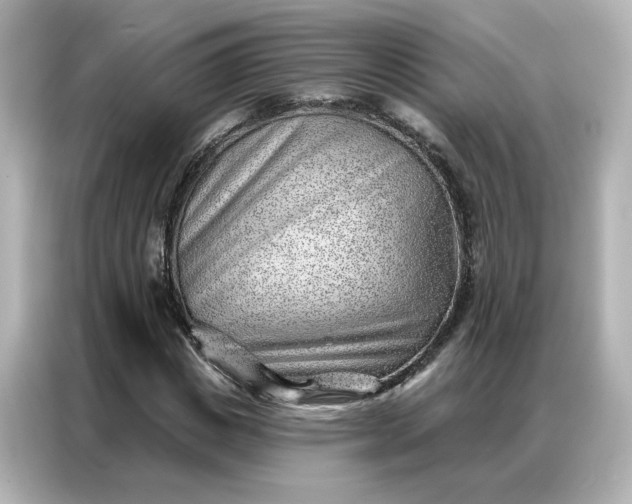 X0000086980825200704301316