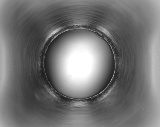 X0000086980826200704301316