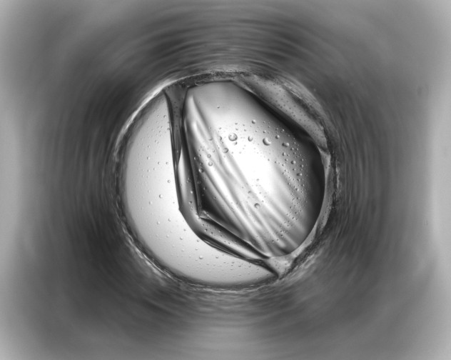 X0000086980828200704301316