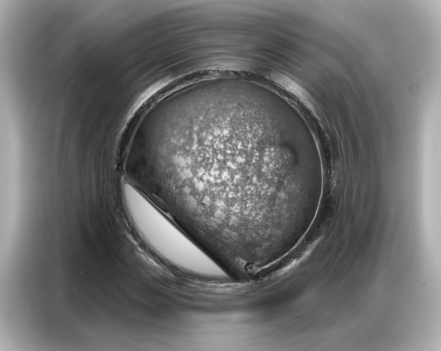 X0000086980829200704301316